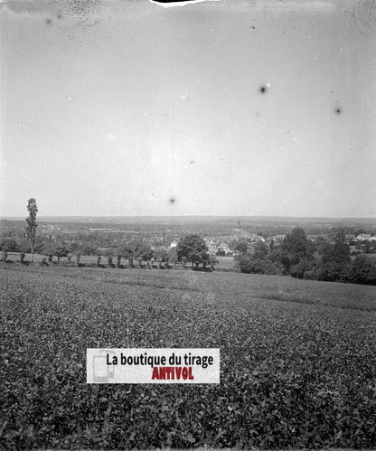Champs, paysage France, plaque verre, photo ancienne, négatif N&B 6x13 cm