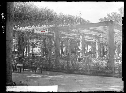 Plaque verre photo ancienne négatif noir et blanc 13x18 cm Vichy parc pergola