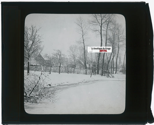 Paysage, neige, hiver, photo ancienne plaque verre, noir & blanc, 8,5x10 cm