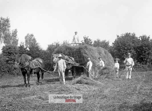 Scène de campagne française, plaque verre, photo ancienne, négatif 9x12 cm