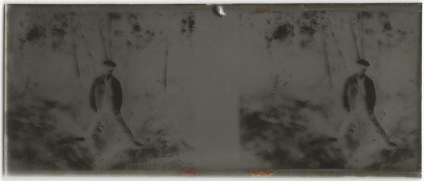 Homme, forêt, Plaque verre photo stéréo, négatif noir & blanc 4,5x10,7 cm