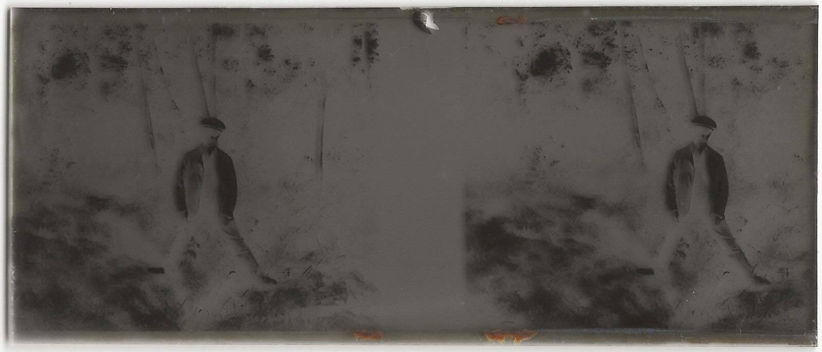 Homme, forêt, Plaque verre photo stéréo, négatif noir & blanc 4,5x10,7 cm