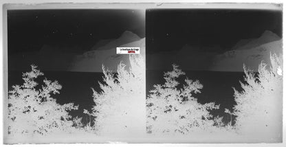Montagne, lac, Plaque verre photo, stéréoscopique négatif noir & blanc 9x18 cm