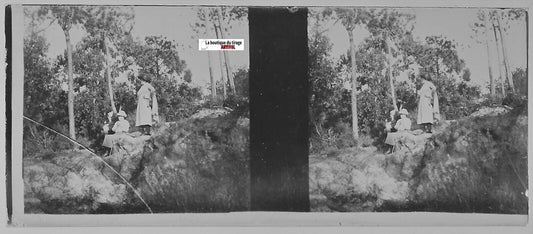 Vintage stereoscopic photo of people on a rock in a forest, early 20th century, black & white, 4.5x10.7 cm glass plate.