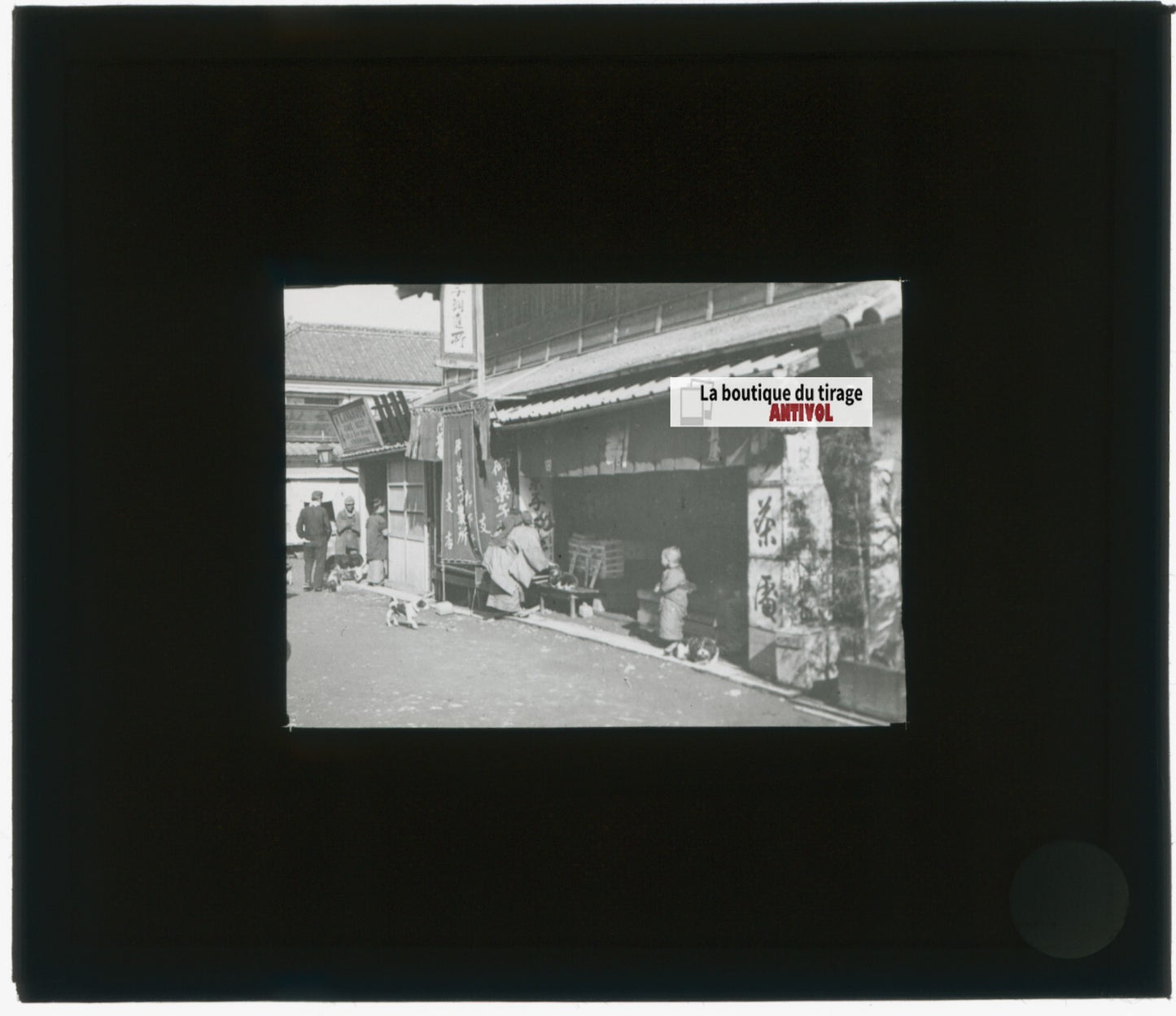 Yokohama, Asie, Japon, photo plaque verre, noir & blanc, positif 8,5x10 cm