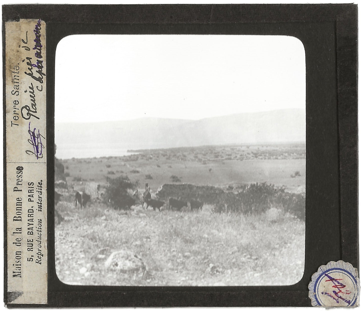 Lac de Tibériade, Israël, photo ancienne plaque de verre, positif 8,5x10 cm