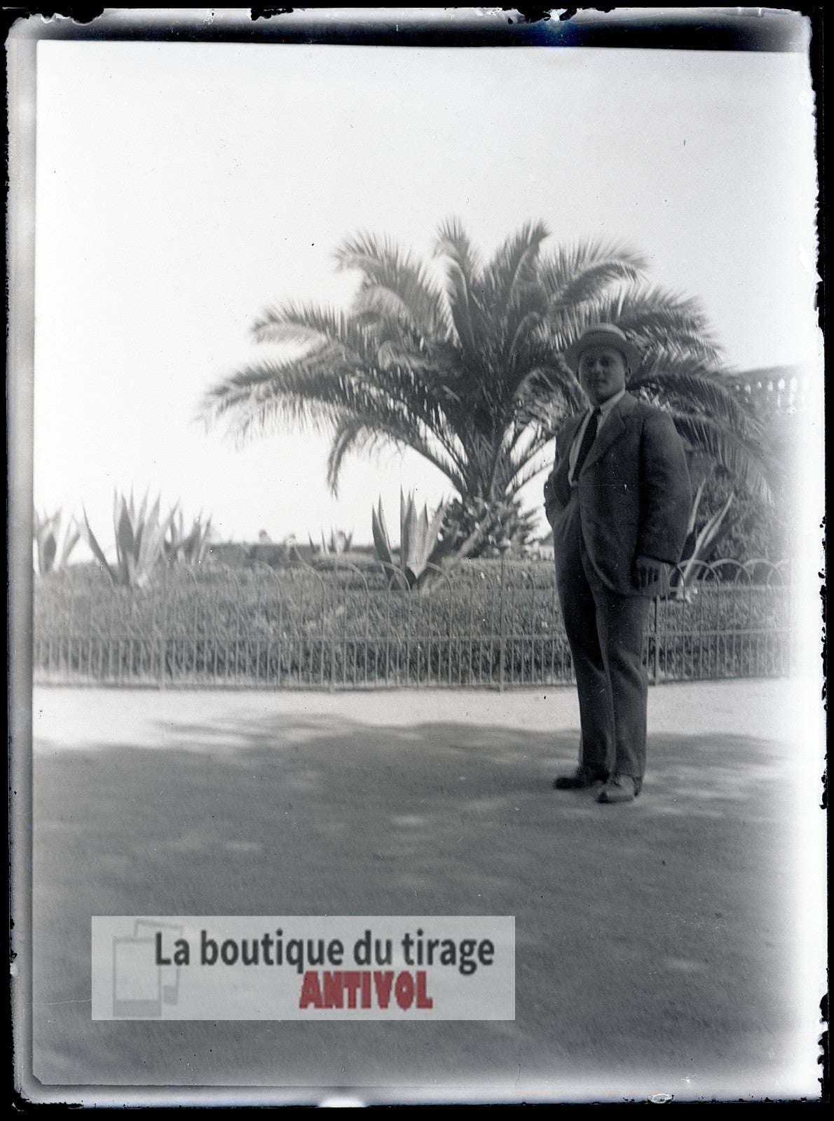 Homme, costume, Oran, Algérie, plaque verre, photo ancienne, négatif 9x12 cm