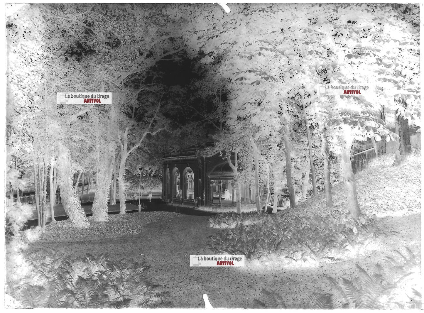 Plaque verre photo ancienne négatif noir et blanc 13x18 cm Vichy Célestins