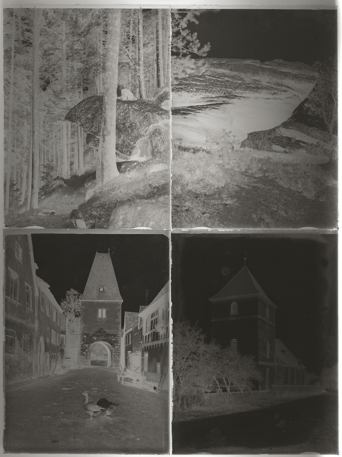 Alsace, France, architecture, boîte photo plaque verre, lot 12 négatifs 9x12 cm