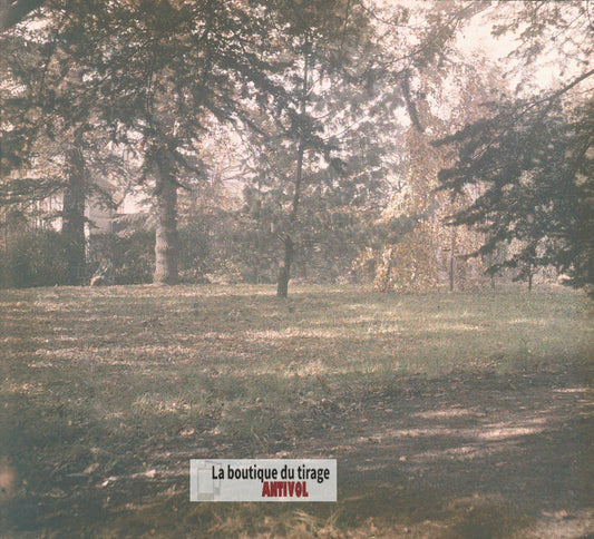 Parc, jardin, Écully, plaque verre, photo ancienne stéréo 6x13 cm Autochrome