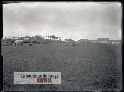 Cavalerie et fantassins, WW1, plaque verre, photo ancienne, négatif 9x12 cm