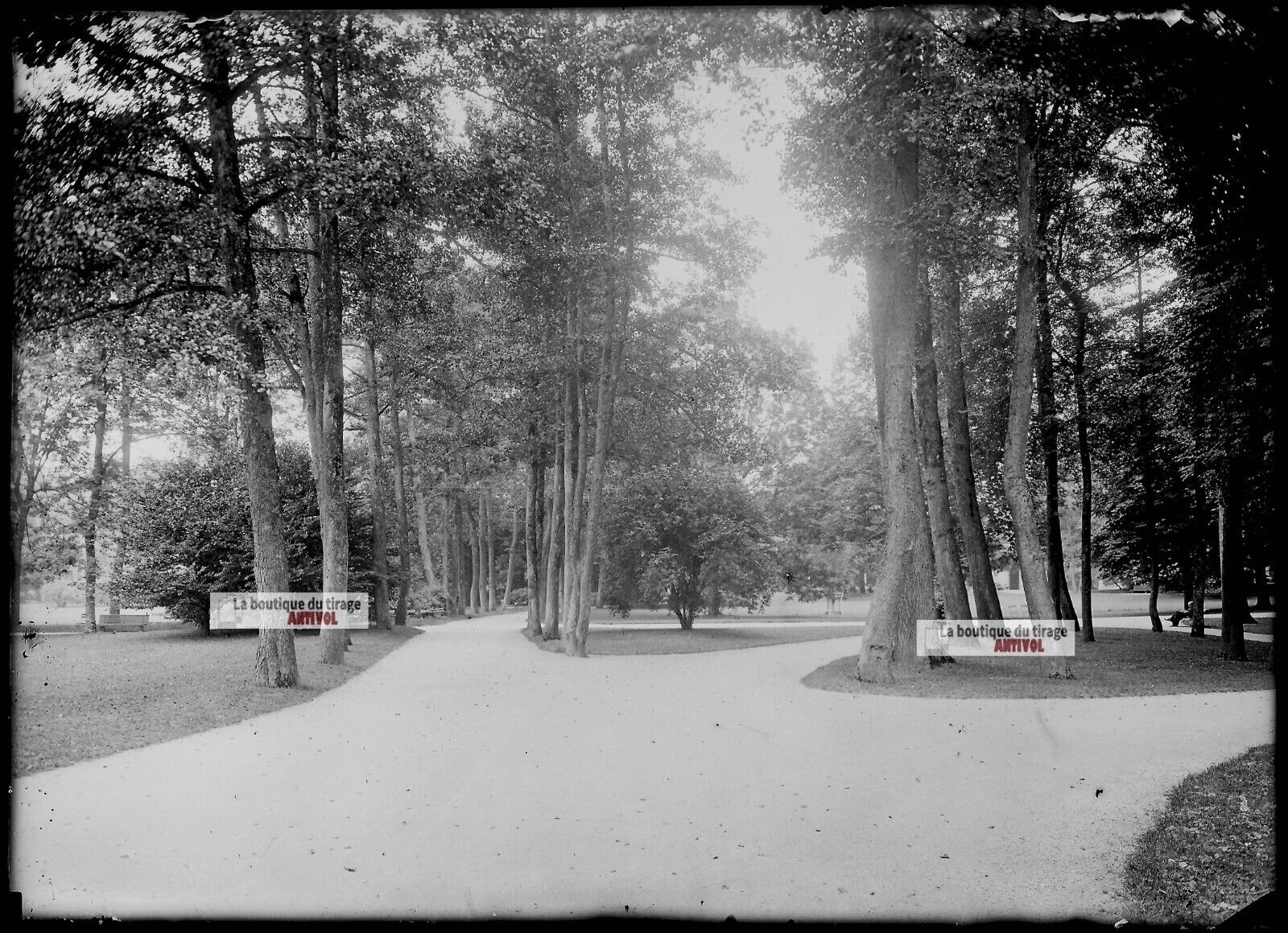 Plaque verre photo ancienne négatif noir et blanc 13x18 cm Vittel parc public