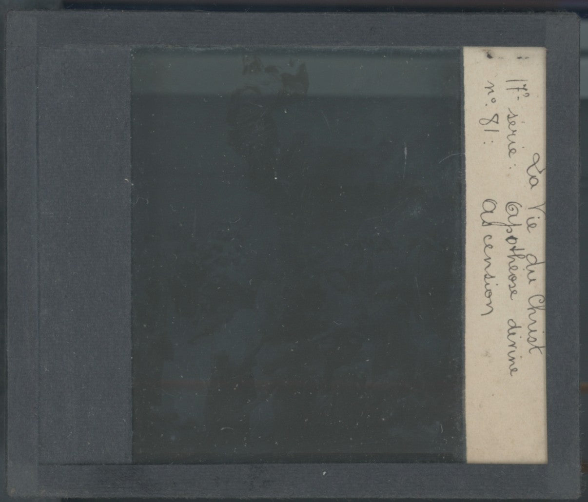 Vie du Christ, L’Ascension, photo ancienne plaque verre, noir & blanc, 8,5x10 cm