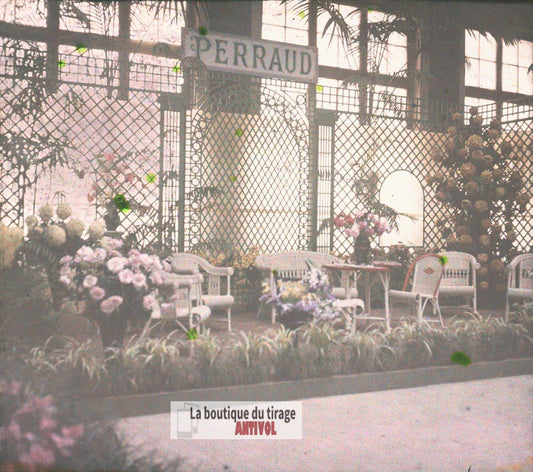 Stand horticole Perraud, plaque verre, photo ancienne stéréo 6x13 cm Autochrome
