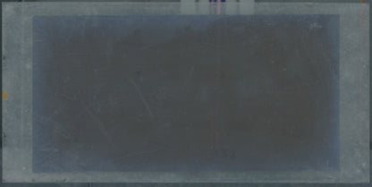 Scène de vie, Longchamp, Paris, plaque verre stéréoscopique, positif 8,5x17 cm