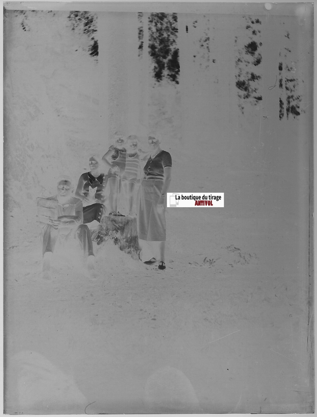 Famille, chat, forêt, Plaque verre photo ancienne, négatif noir & blanc 9x12 cm