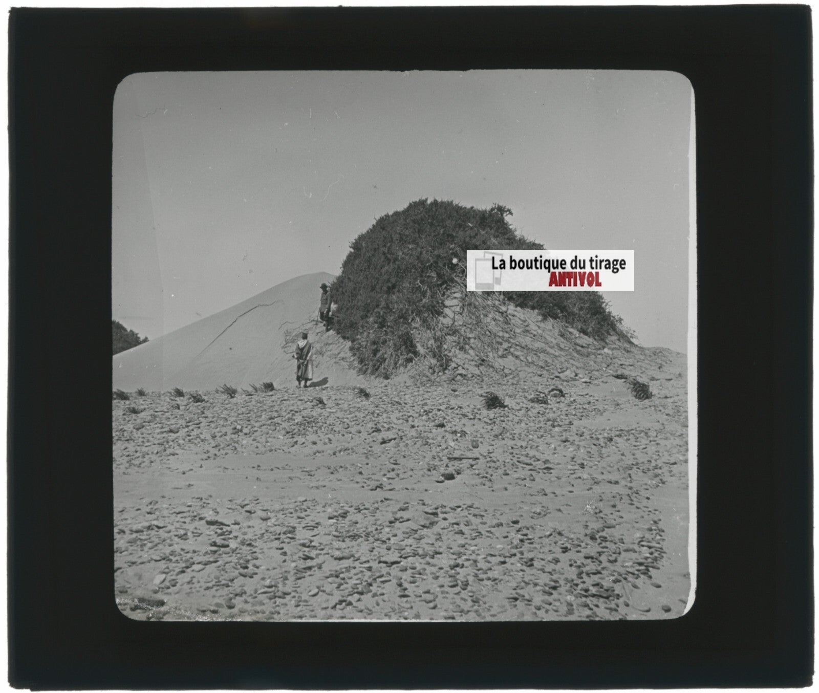Paysage, désert sable, Maroc, photo ancienne plaque verre, positif 8,5x10 cm