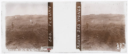 Ravin des Vignes, Fleury, guerre WW1, plaque verre stéréo, photo 4,5x10,7 cm