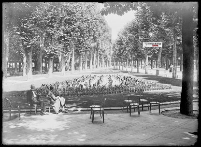 Plaque verre photo ancienne négatif noir et blanc 13x18 cm Vichy parc public