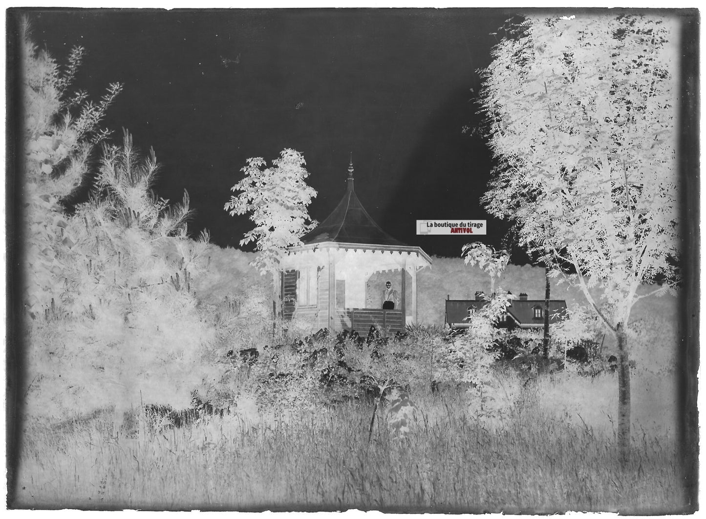 Plaque verre photo ancienne négatif noir et blanc 13x18 cm femme parc jardin 