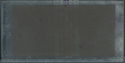 Personnages, Longchamp, Paris, plaque verre stéréoscopique, positif 8,5x17 cm