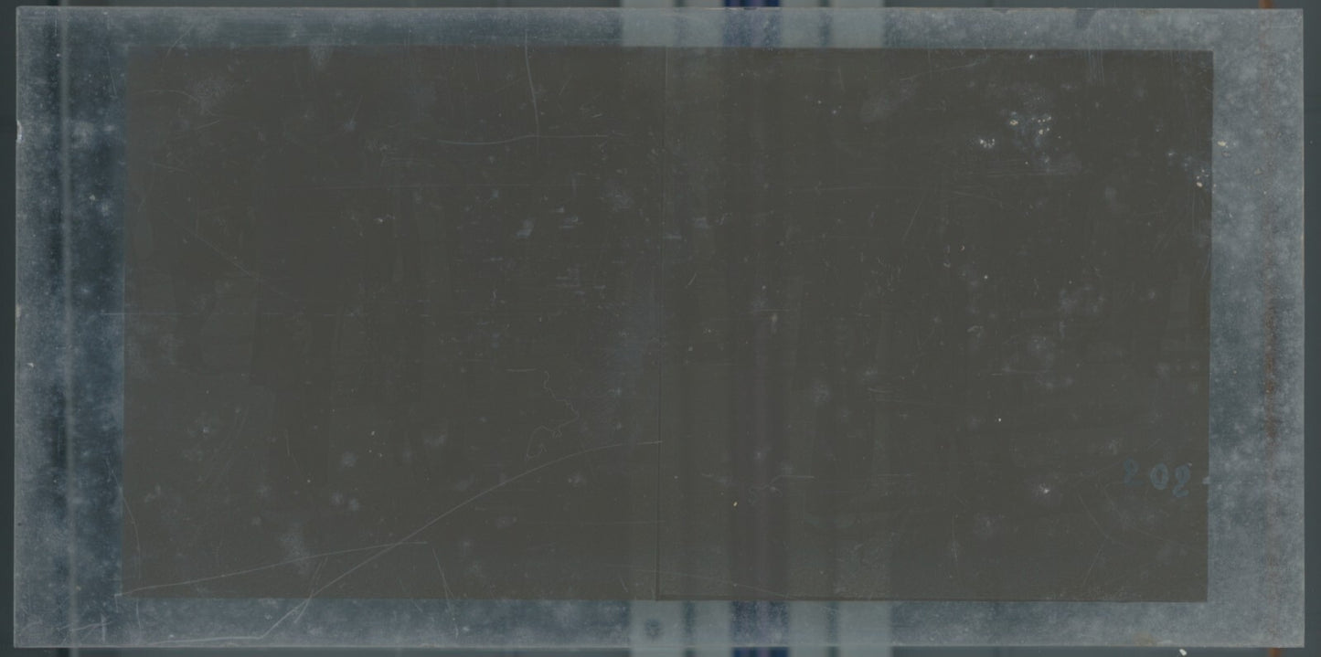 Personnages, Longchamp, Paris, plaque verre stéréoscopique, positif 8,5x17 cm