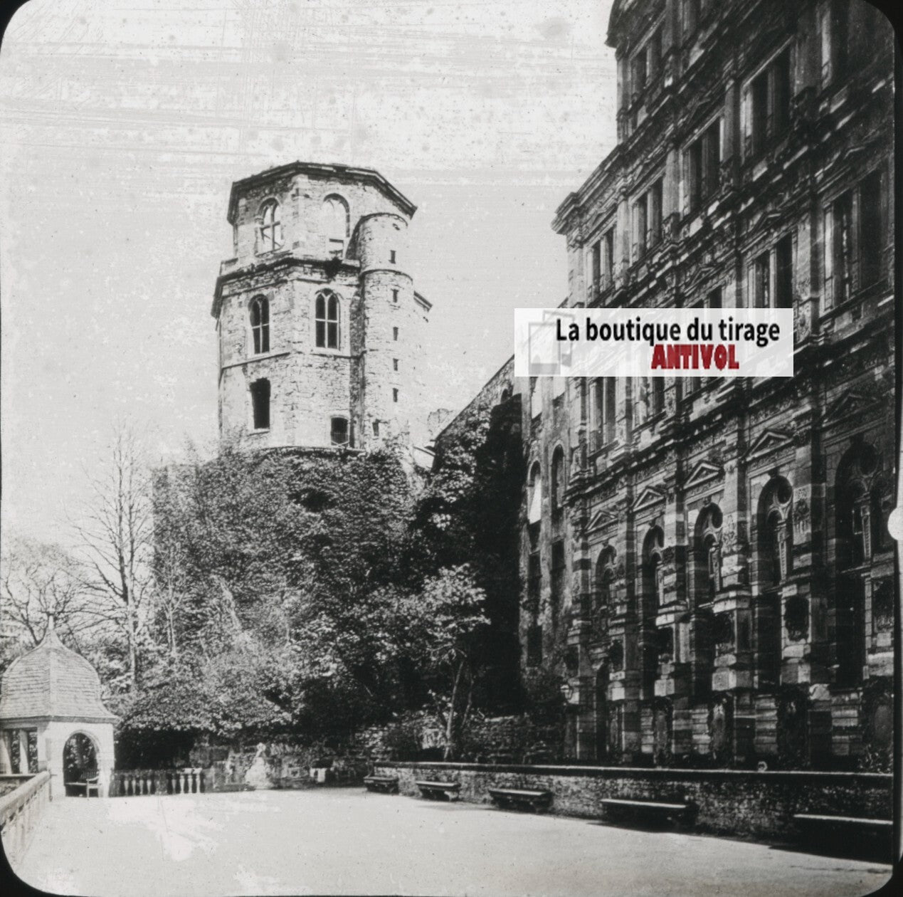 Château de Heidelberg, Allemagne, photo plaque verre, positif 8,5x10 cm