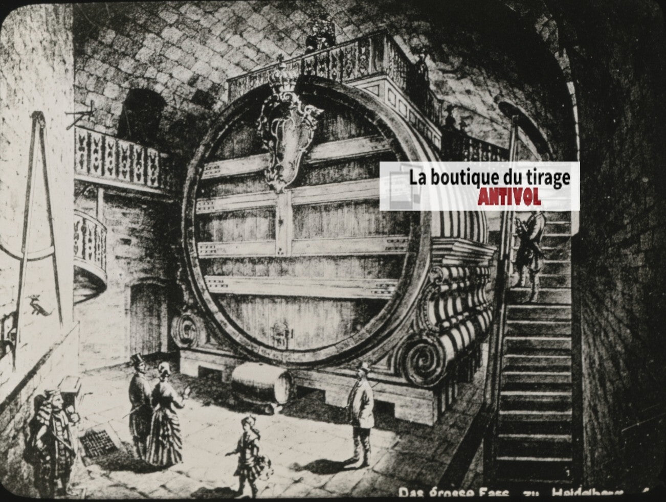 Tonneaux monstres, Heidelberg, Allemagne, photo plaque verre, positif 8,5x10 cm