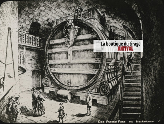 Tonneaux monstres, Heidelberg, Allemagne, photo plaque verre, positif 8,5x10 cm