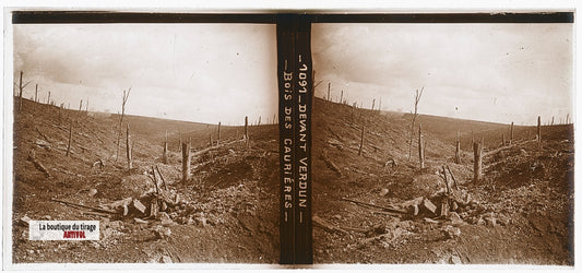 Bois des Caurières, Verdun, WW1, plaque verre, photo ancienne stéréo 6x13 cm