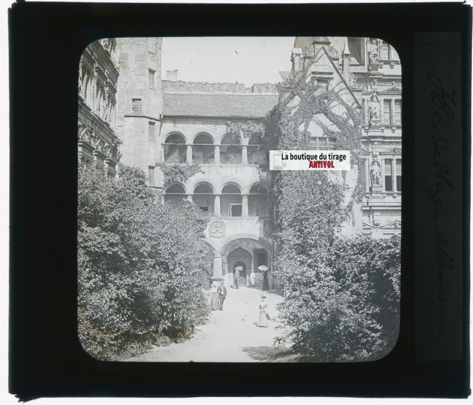 Château de Heidelberg, photo plaque verre, noir & blanc, positif 8,5x10 cm