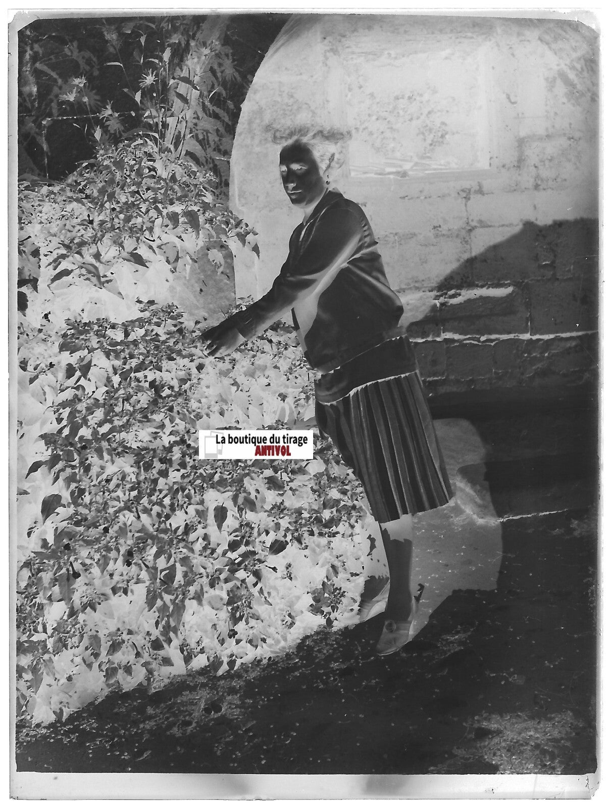 Dame, jardin, Plaque verre photo ancienne, négatif noir & blanc 9x12 cm