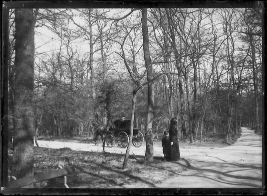 Plaque verre photo négatif noir et blanc 6x9 cm cheval femme enfant route France