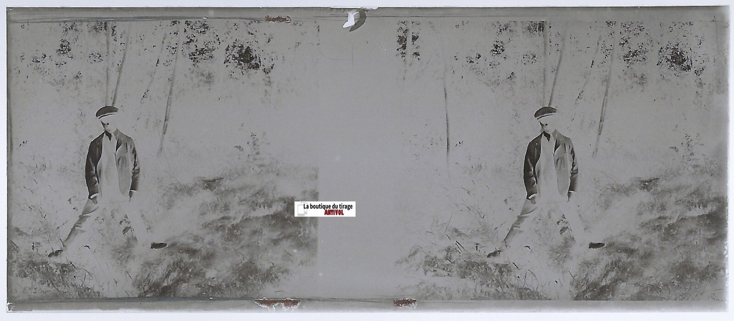 Homme, forêt, Plaque verre photo stéréo, négatif noir & blanc 4,5x10,7 cm