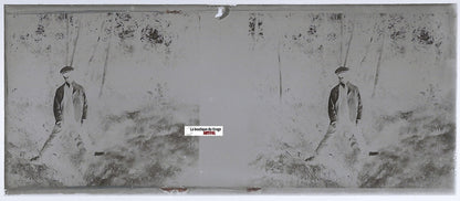 Homme, forêt, Plaque verre photo stéréo, négatif noir & blanc 4,5x10,7 cm