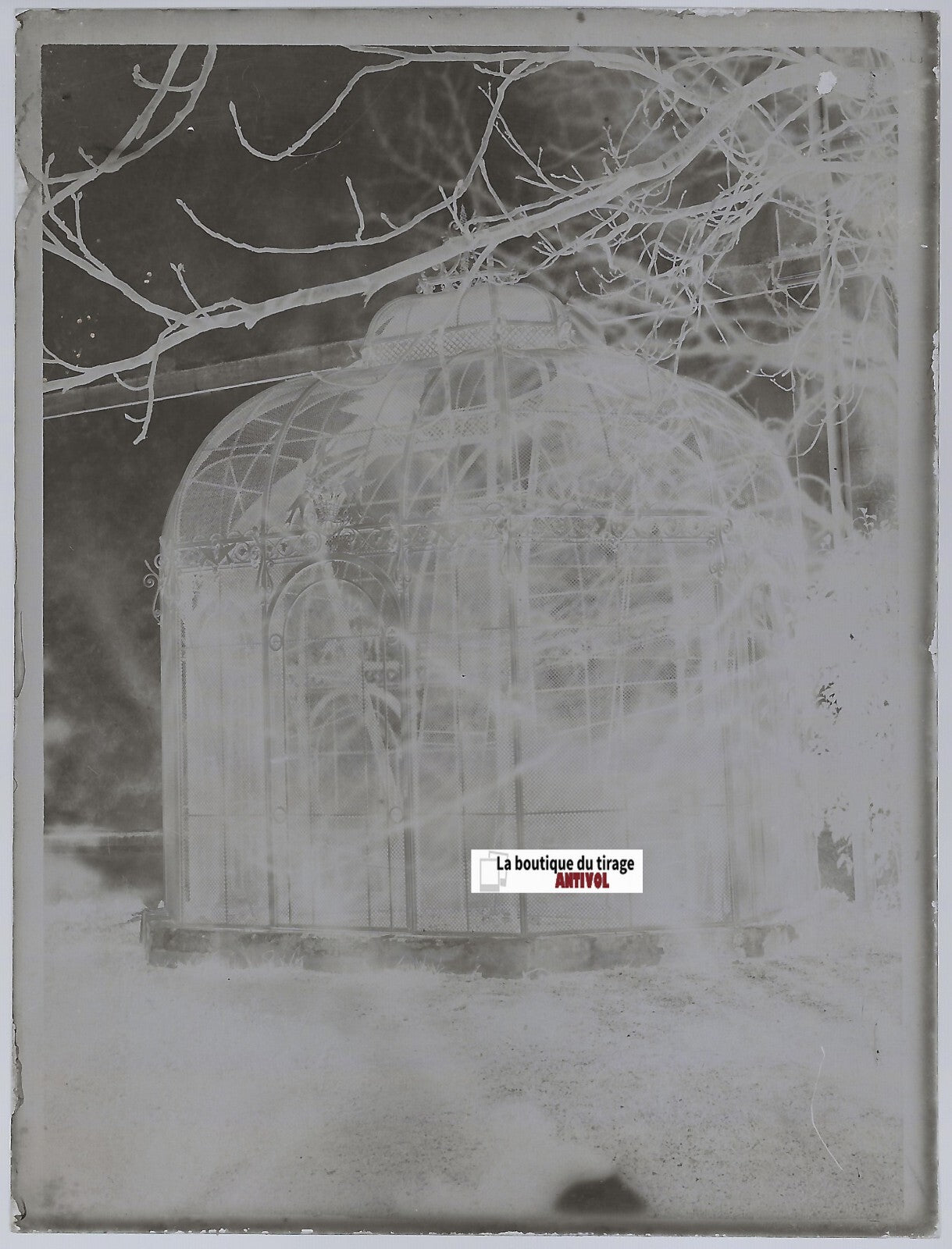 Verrière, serre, Plaque verre photo ancienne, négatif noir & blanc 9x12 cm