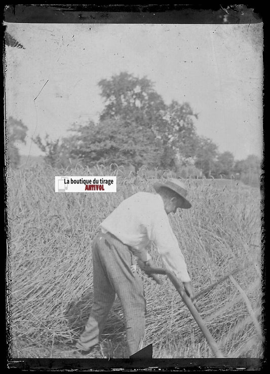 Moisson, paysans, Plaque verre photo ancienne, négatif noir & blanc 6x9 cm - La Boutique Du Tirage 