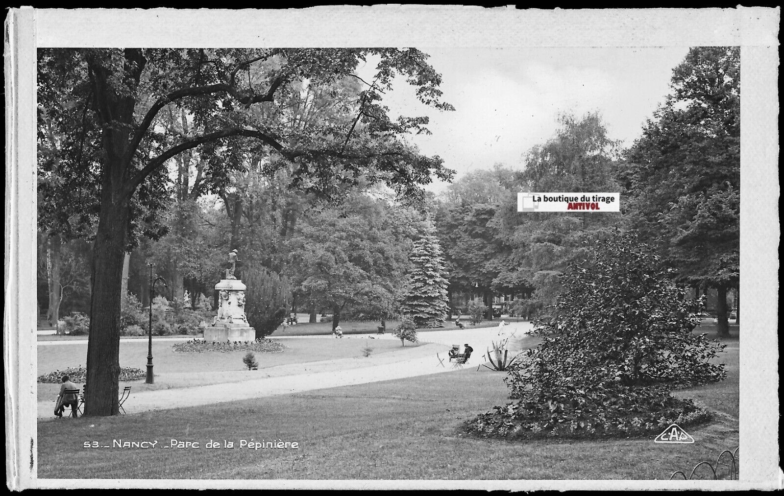 Plaque verre photo vintage, négatif noir & blanc 9x14 cm, Nancy, parc jardin