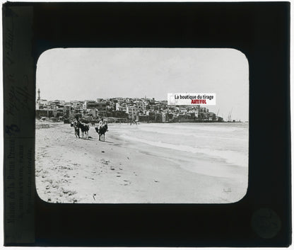 Plage de Jaffa, Israël, photo plaque verre, noir & blanc, positif 8,5x10 cm