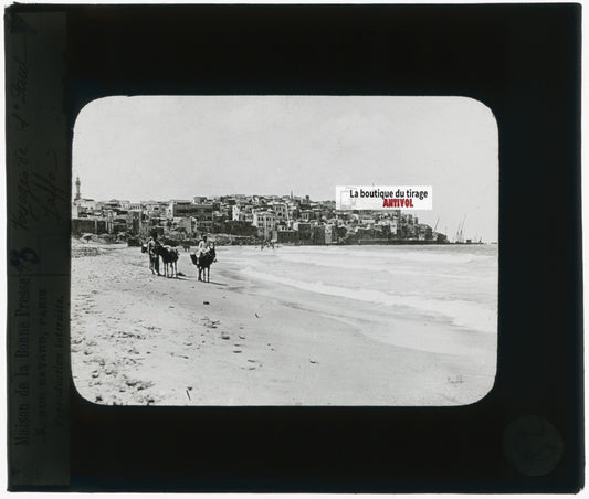 Plage de Jaffa, Israël, photo plaque verre, noir & blanc, positif 8,5x10 cm