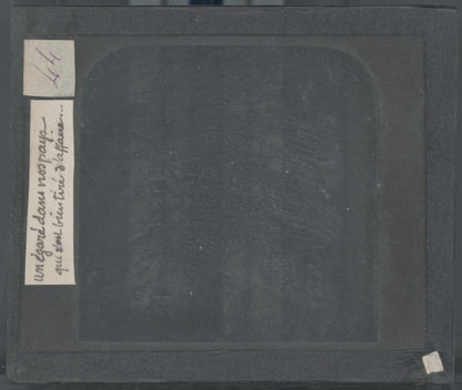 Arbre, nature, paysage, photo plaque de verre, noir & blanc, positif 8,5x10 cm