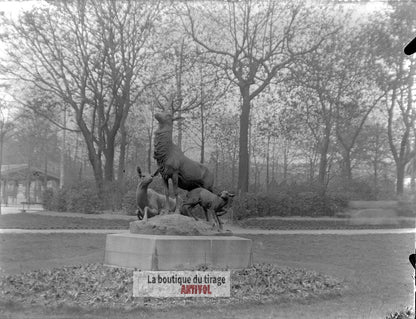 Jardin du Luxembourg, Paris, plaque verre, photo ancienne, négatif 9x12 cm