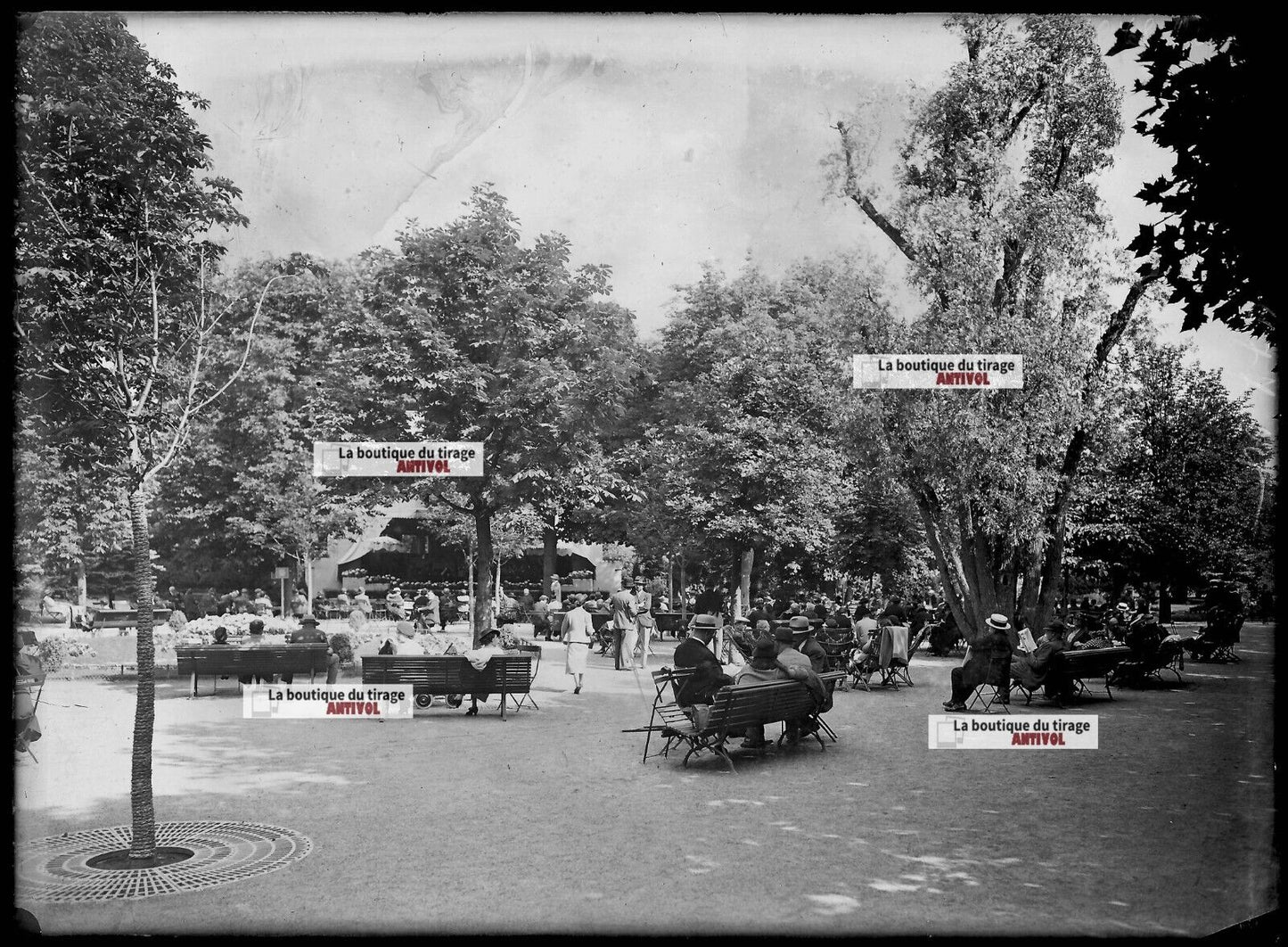 Plaque verre photo ancienne négatif noir et blanc 13x18 cm Vittel parc public