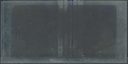 Scène de vie, Longchamp, Paris, plaque verre stéréoscopique, positif 8,5x17 cm