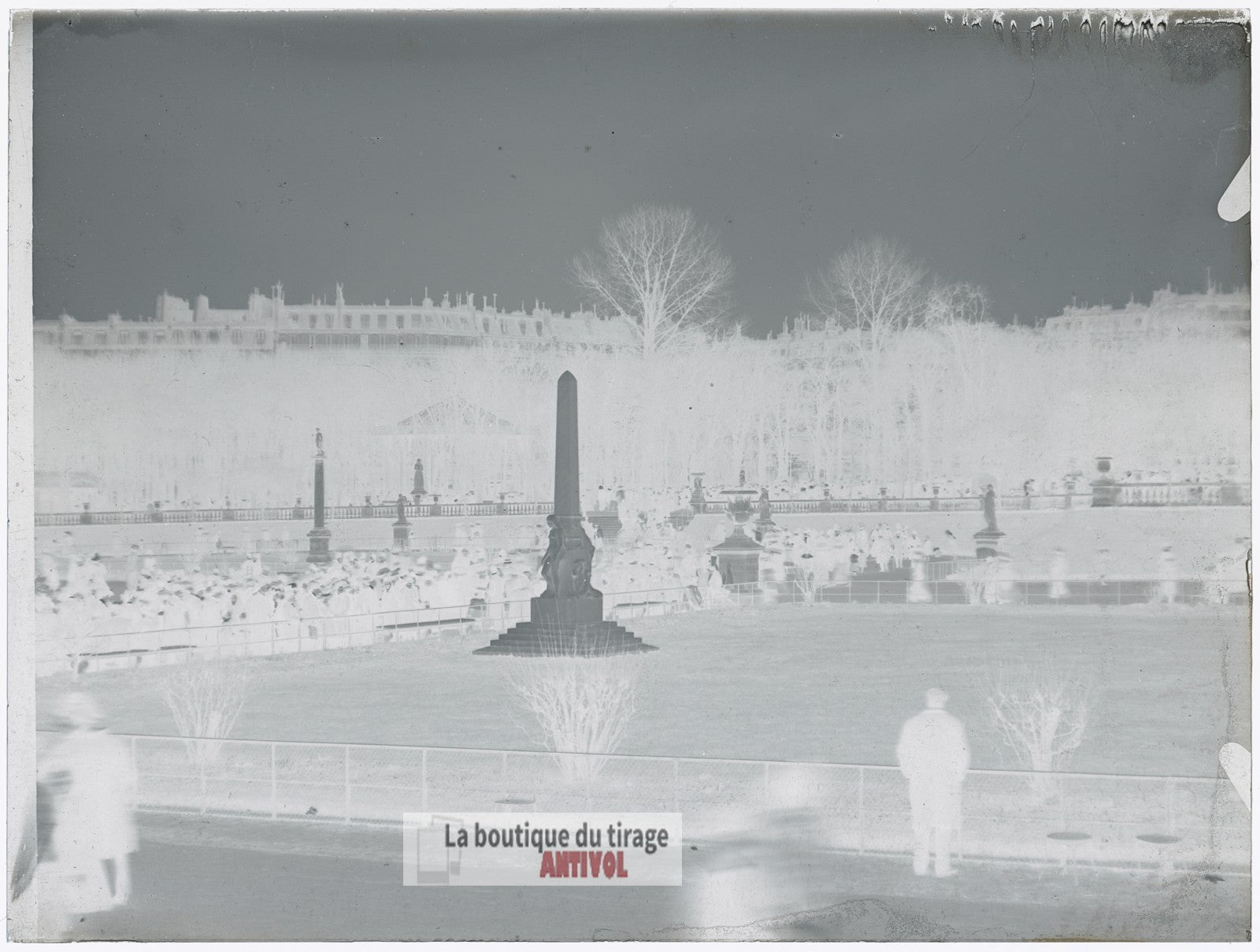 Jardin du Luxembourg, Paris, plaque verre, photo ancienne, négatif 9x12 cm