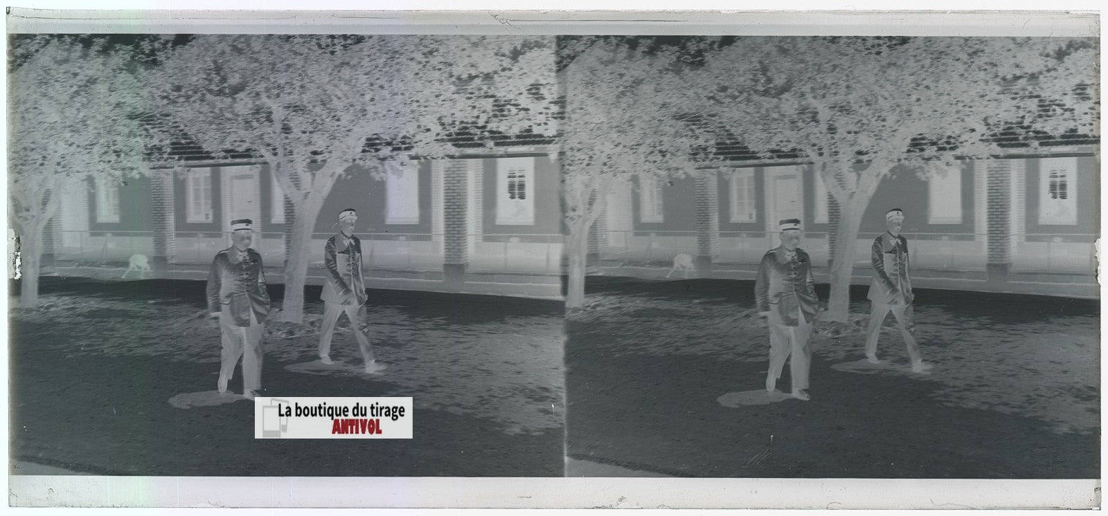 Algérie, Officiers militaires, plaque verre, photo stéréo, négatif N&B 6x13 cm