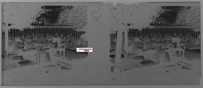 Thé, café, maison, Plaque verre photo stéréo, négatif noir & blanc 4,5x10,7 cm