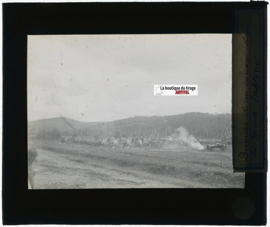 Iablonoï, Russie, peuple, photo plaque verre, noir & blanc, positif 8,5x10 cm