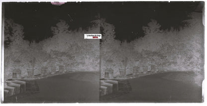 Jardin, parc, Plaque verre photo ancienne, stéréo négatif noir & blanc 9x18 cm
