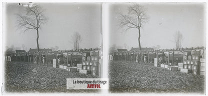 Logistique, camions Berliet, WW1, plaque verre photo ancienne stéréo 6x13 cm